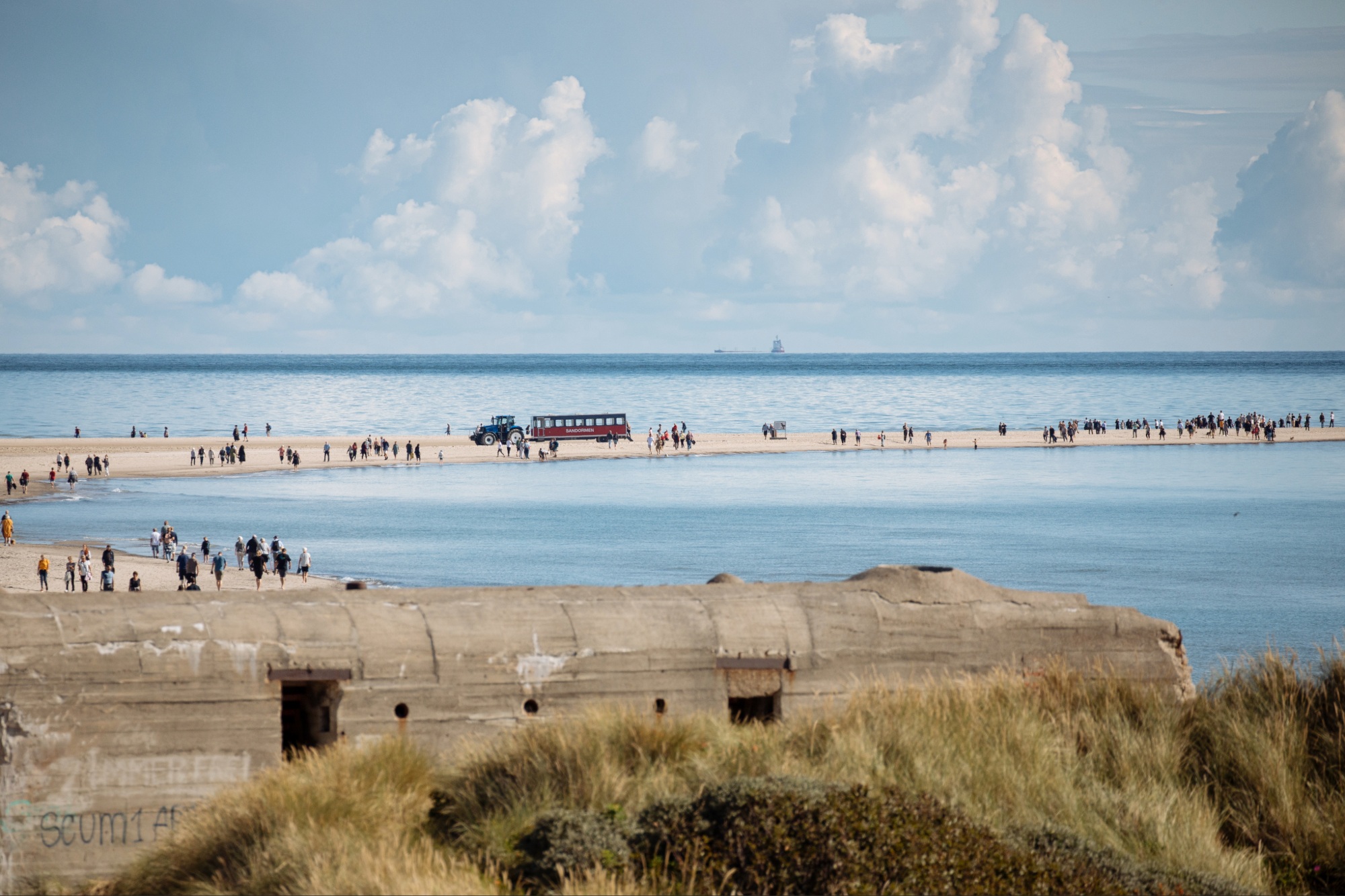 Kystlandskab ved Skagen